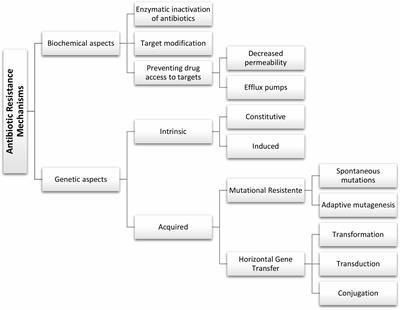 Tackling Multidrug Resistance in Streptococci – From Novel Biotherapeutic Strategies to Nanomedicines